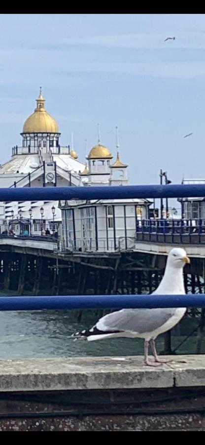 Gyves House Hotel Eastbourne Ngoại thất bức ảnh
